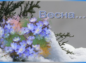 Весна, мы тебя ждем!