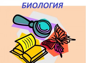 Интерактивный плакат «Строение клетки»