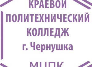 Профпробы в краевом политехническом колледже для школьников Чернушки, Барды, Октябрьского, Куеды