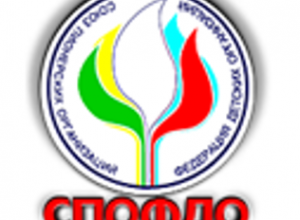 Жуковские чтения