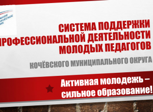 Практики работы Совета молодых педагогов в территориях Пермского края «Мечтай и действуй!»