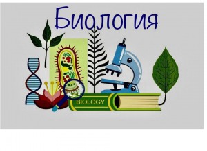 Реализация формирующего и критериального оценивания в биологии