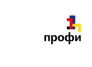 III Региональный чемпионат ЮниорПрофи Пермского края по методике JuniorSkills